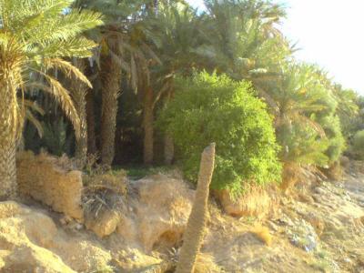 taghjijt-assif angmar