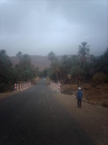 tamakhirt safi.........