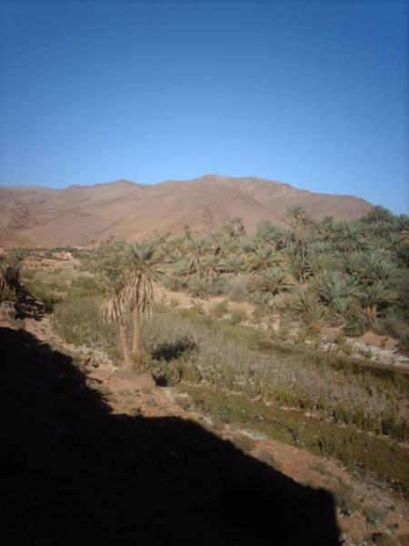 Cadeau pour les visiteurs de mon site