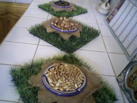 cooperation tafyoucht