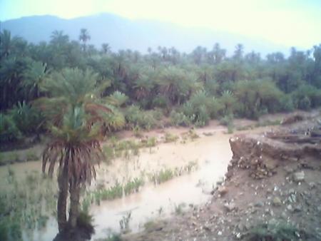 assif nsiyad mlli ghdi ngi