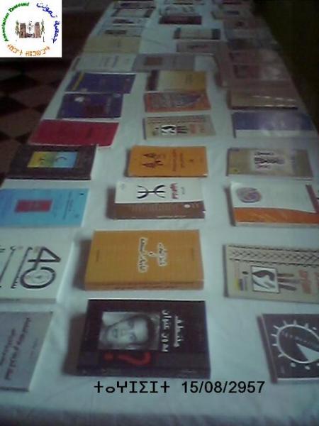 idlisen ntmsmount ntamount