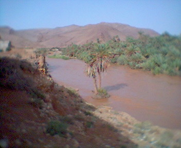 assif nsiyad mlli ghdi ngi