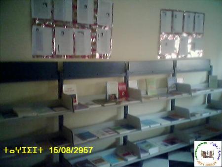 idlisen ntmsmount ntamount