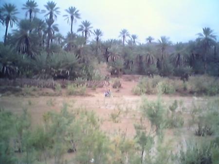 assif nsiyad mlli ghdi ngi