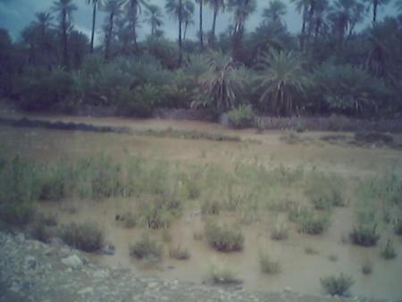 assif nsiyad mlli ghdi ngi