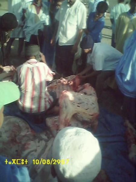 almoggar n ougadir mqourn-tlba-tagmout