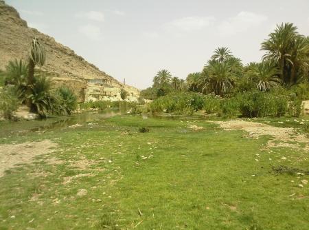 Lgazoun n wassif Ouflla