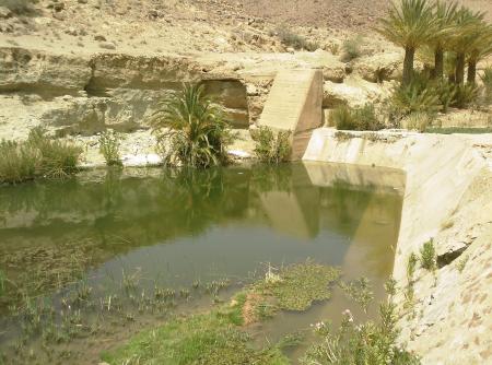 La piscine n Tmazirt