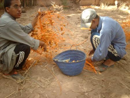 boubaker d fayssal argroun ablouh