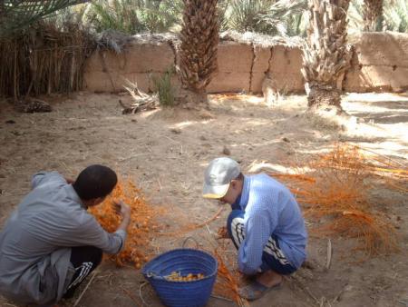 boubaker d fayssal argroun ablouh